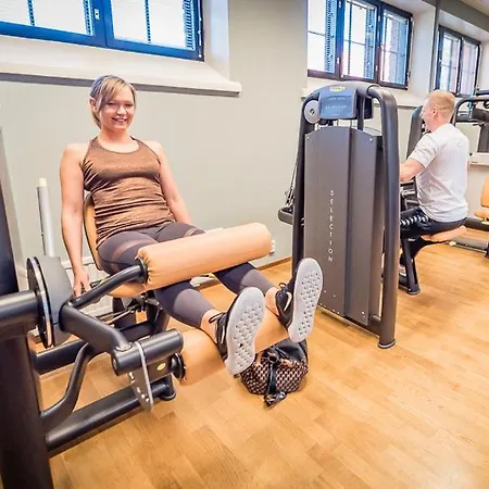 Vanajanlinna 4*